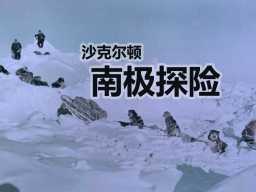 《探险:沙克尔顿南极探险》